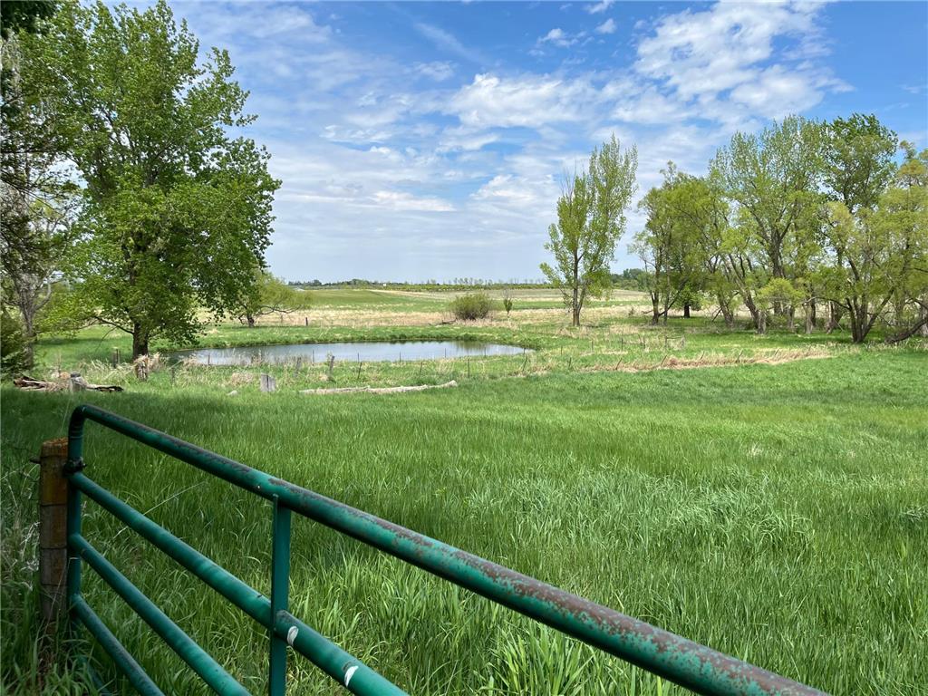 93306 US Highway 71 Christiania Twp MN 56101 7058113 image3