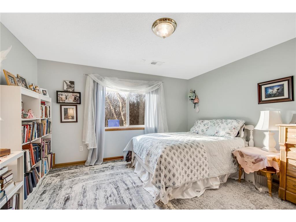 9336 131st Avenue SE Becker Twp MN 55308 - Elk River 7017385 image13