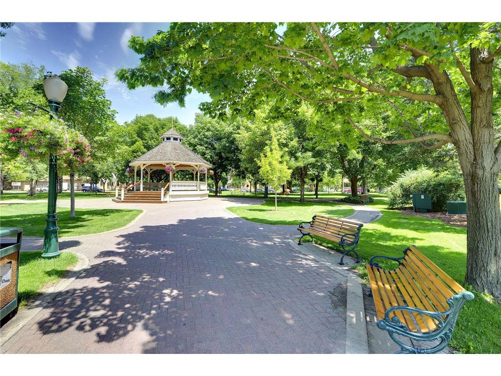 934 Goldfinch Street Chaska MN 55318 7008328 image44