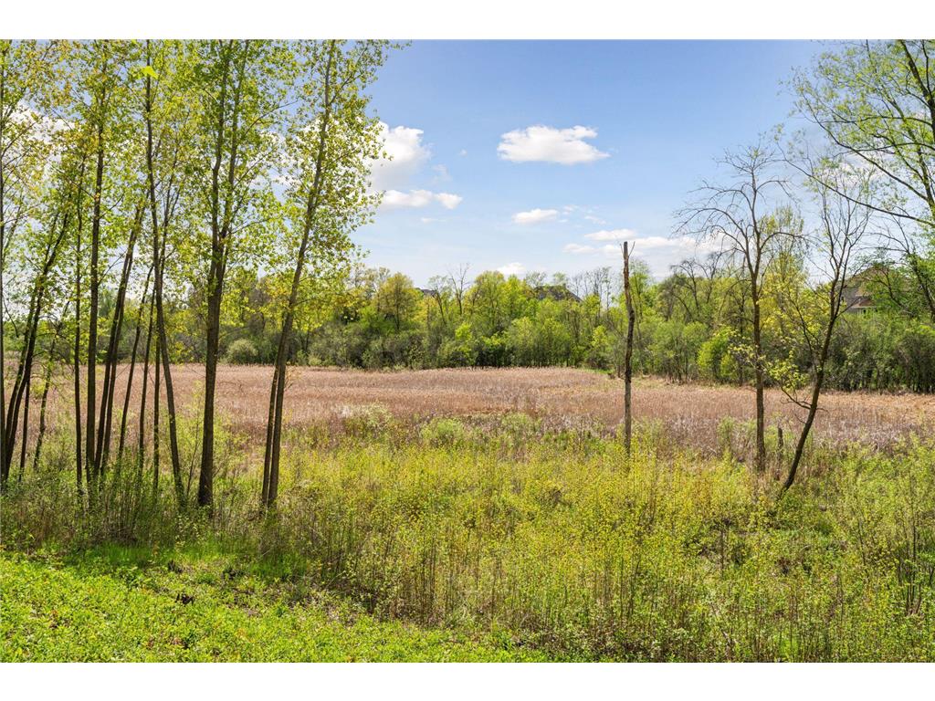 9345 Amber Drive, Credit River, MN, 55044 MLS 6559722 Edina Realty