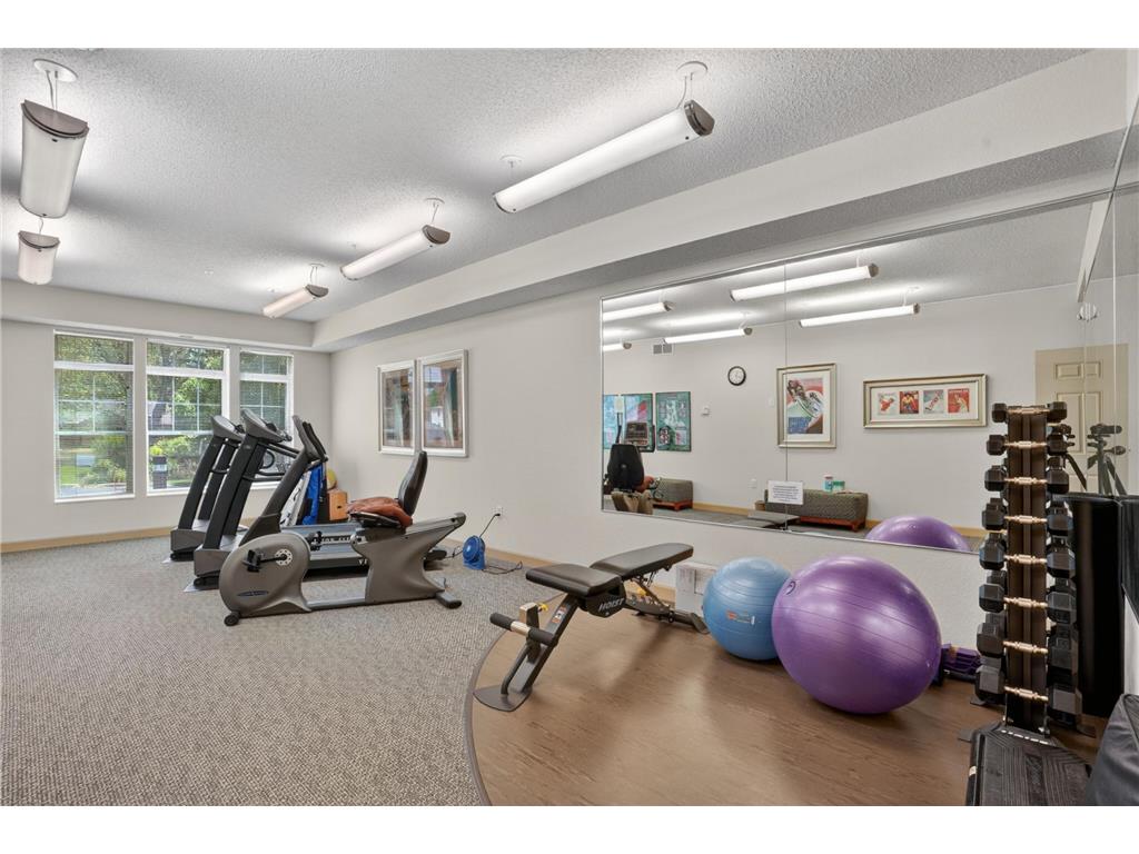 935 Ferndale Street N #317 Maplewood MN 55119 7079921 image28
