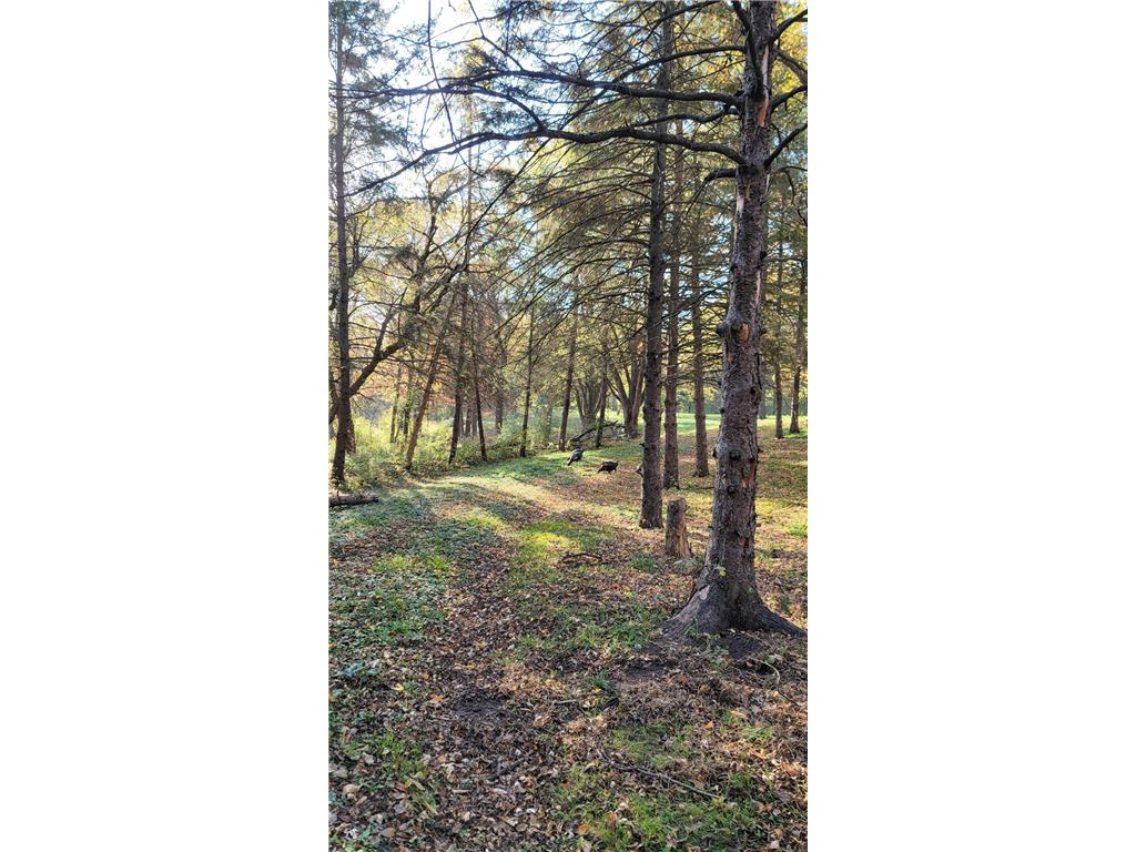 935 Lakewood Hills Road Eagan MN 55123 6788358 image109