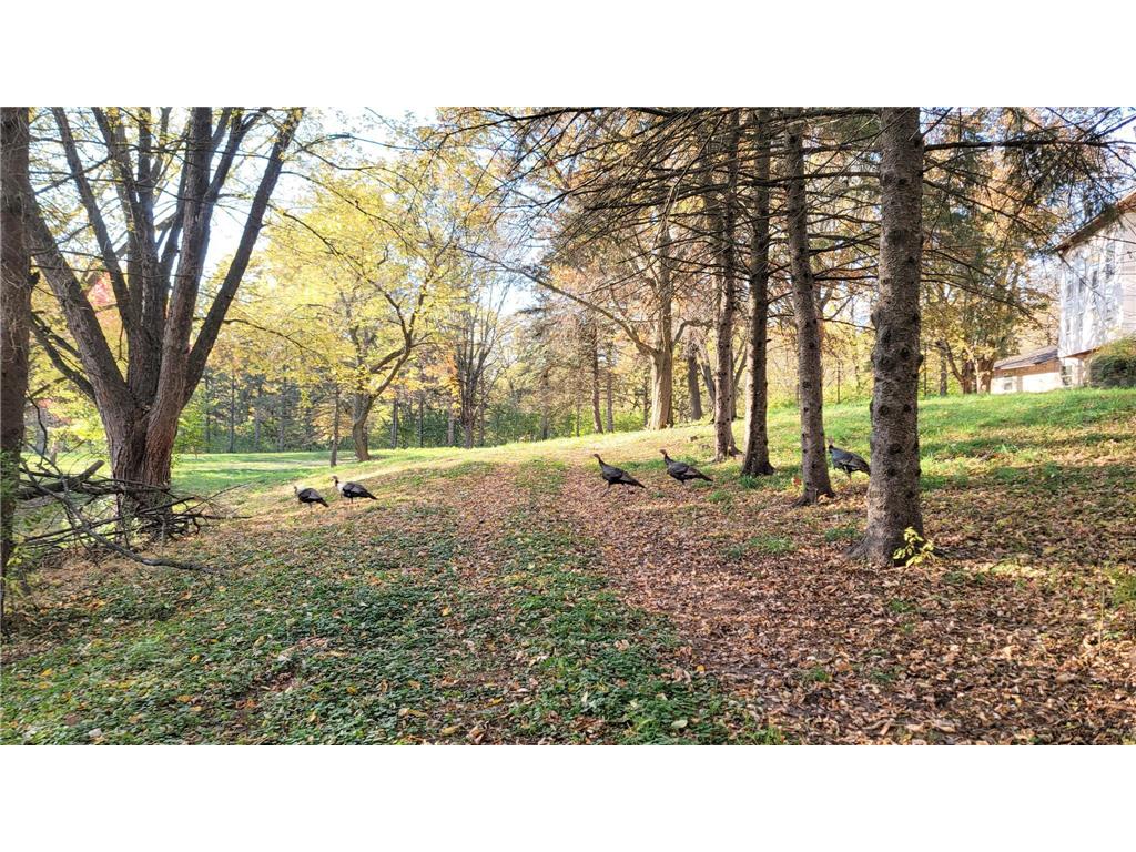 935 Lakewood Hills Road Eagan MN 55123 6788358 image111