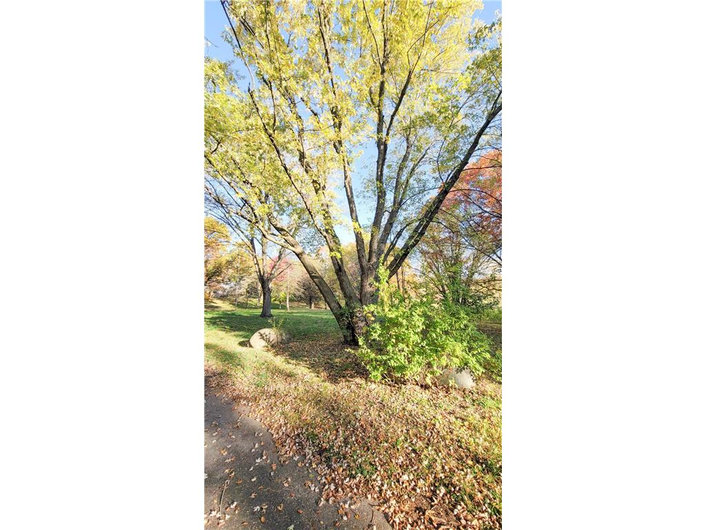 935 Lakewood Hills Road Eagan MN 55123 6788358 image74