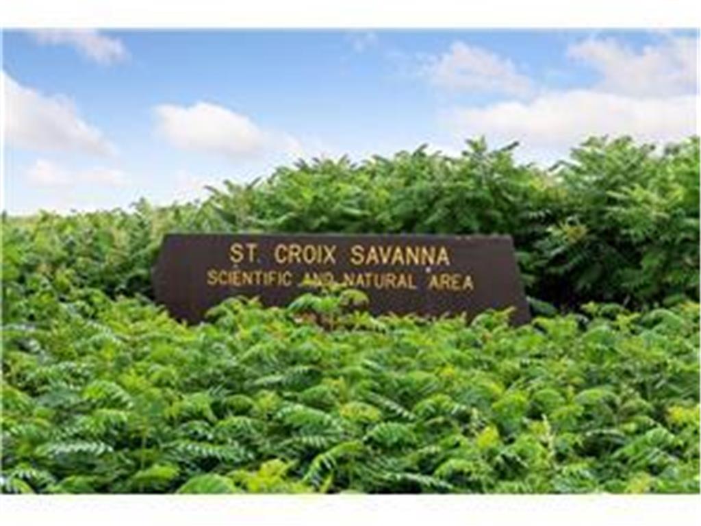 936 Inspiration Parkway S Bayport MN 55003 7073328 image95