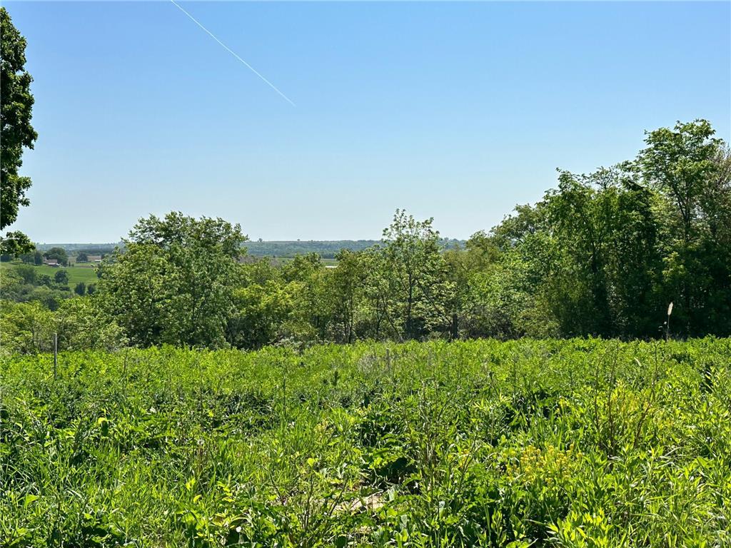 936 Overlook Drive Preston MN 55965 6780916 image4