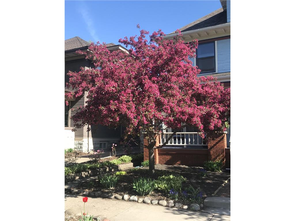 937 Laurel Avenue Saint Paul MN 55104 7014134 image44