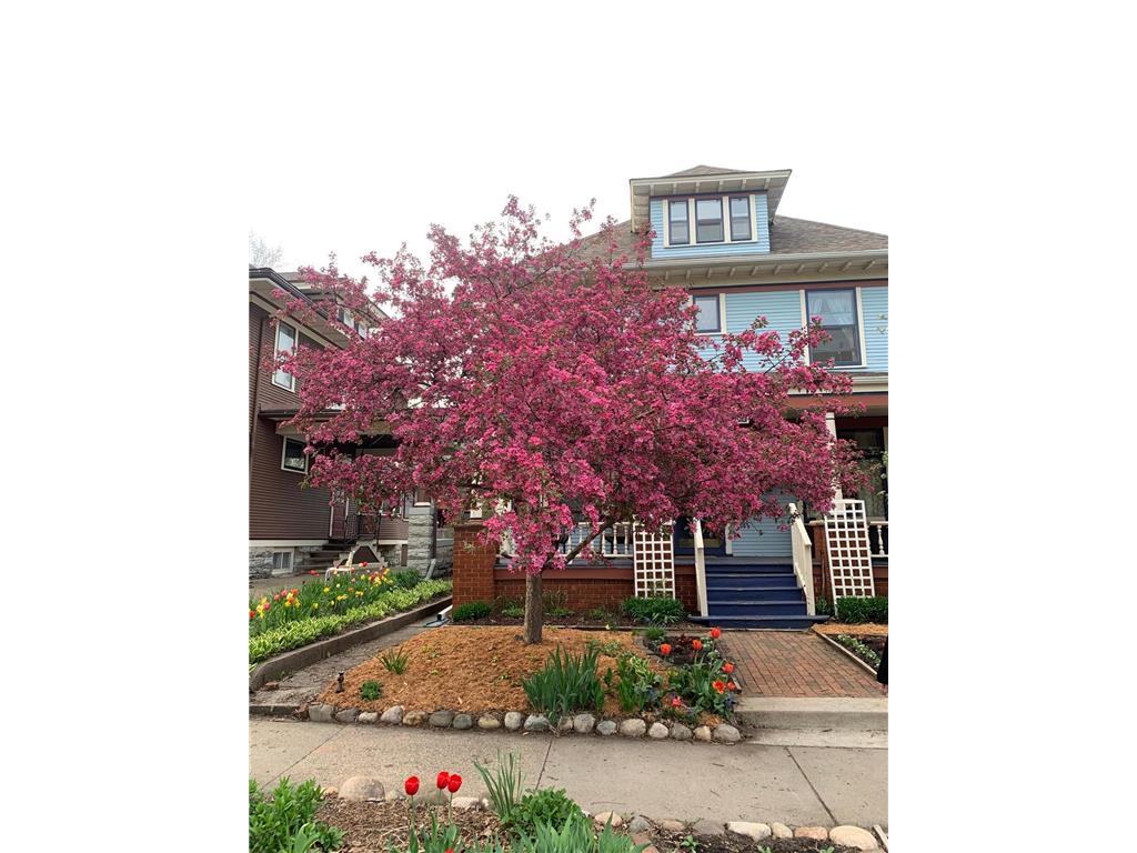 937 Laurel Avenue Saint Paul MN 55104 7014134 image45