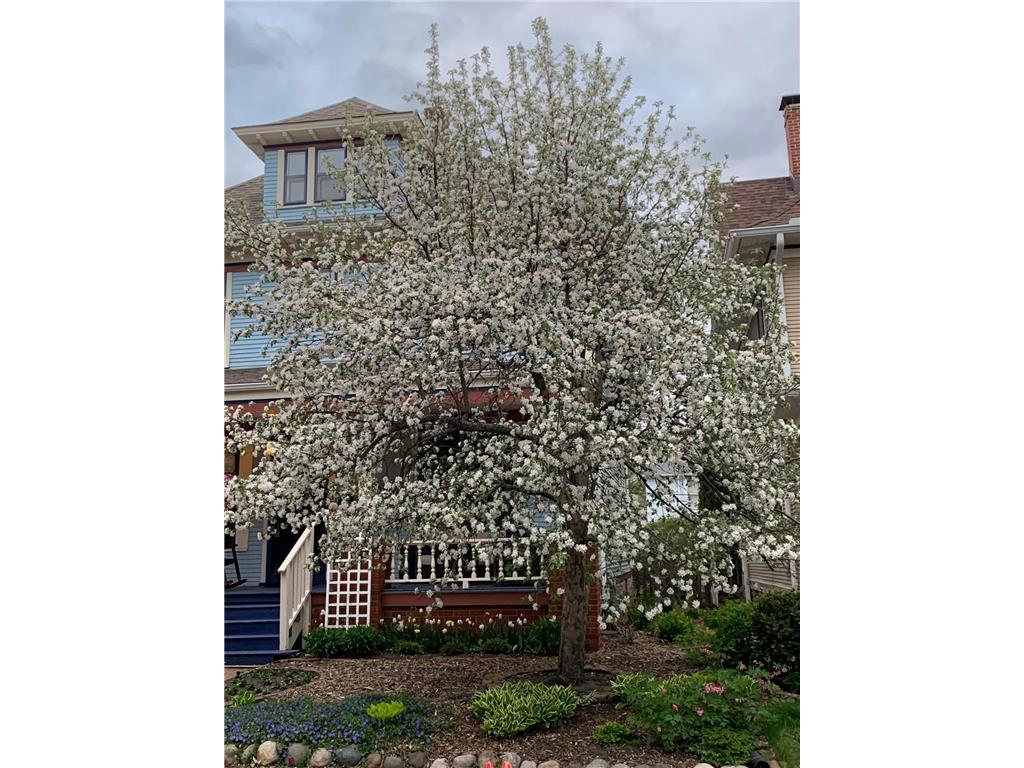 937 Laurel Avenue Saint Paul MN 55104 7014134 image46