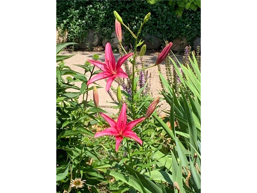 937 Laurel Avenue Saint Paul MN 55104 7014134 image47