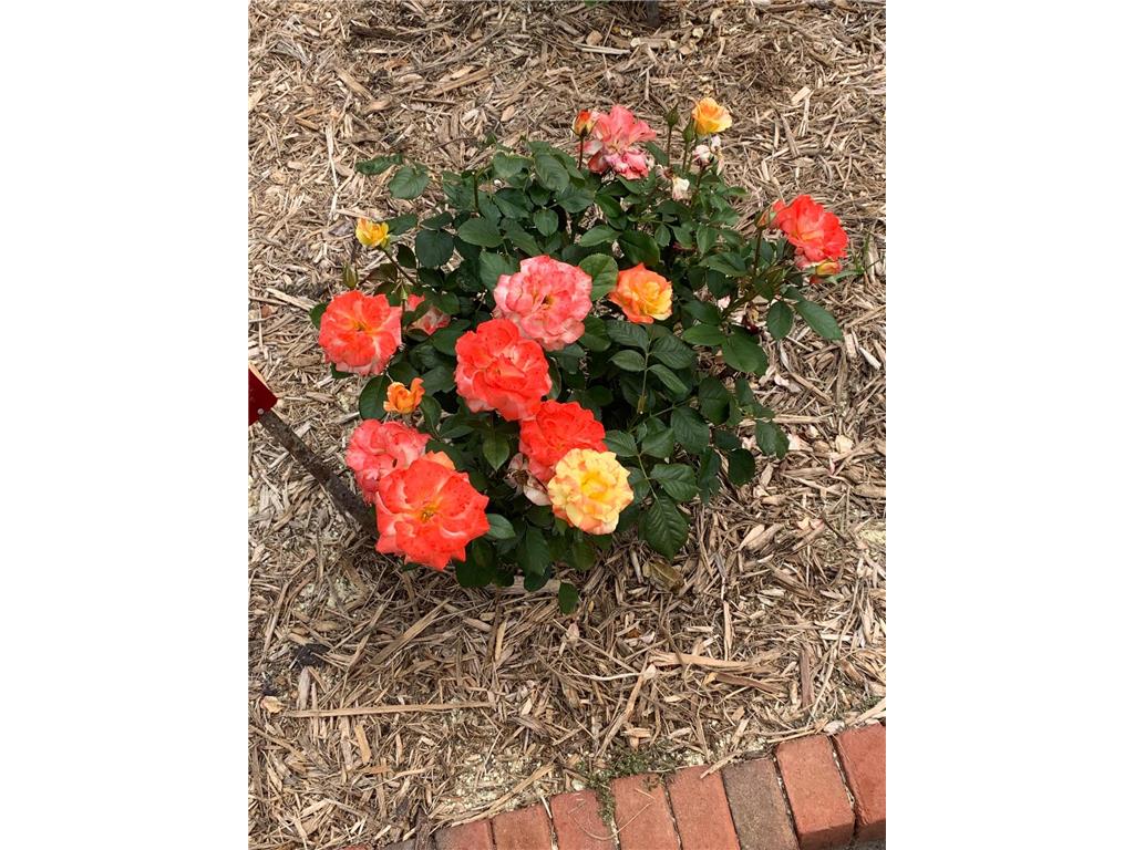 937 Laurel Avenue Saint Paul MN 55104 7014134 image48