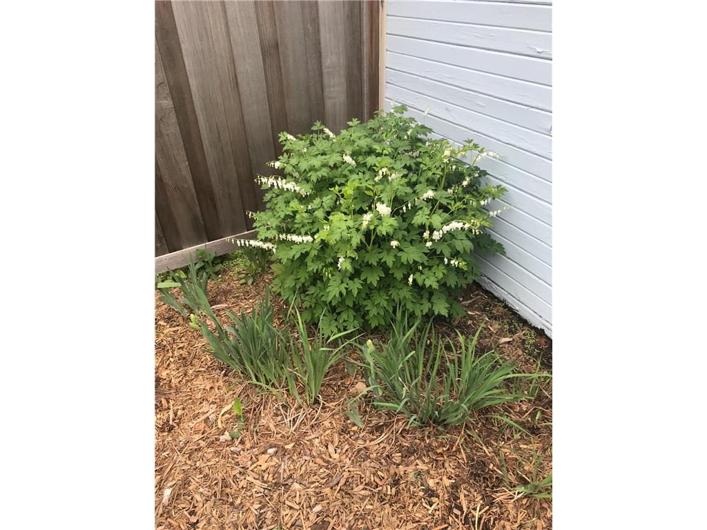 937 Laurel Avenue Saint Paul MN 55104 7014134 image53