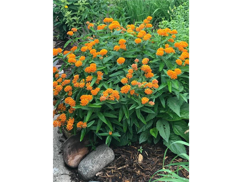 937 Laurel Avenue Saint Paul MN 55104 7014134 image54