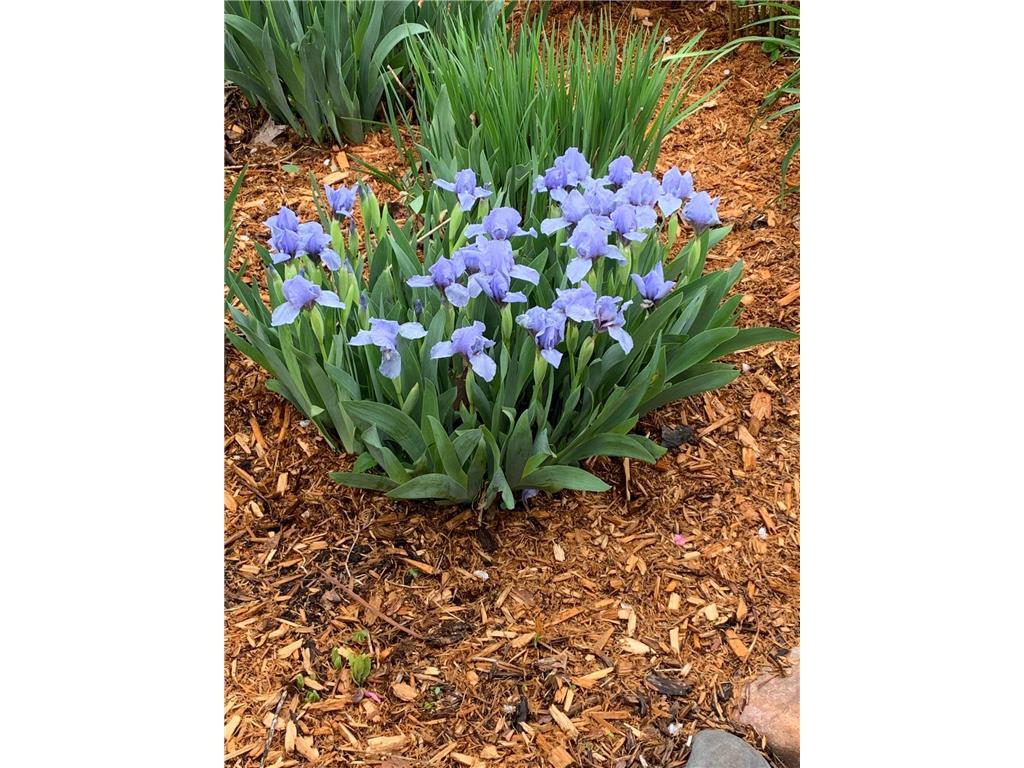 937 Laurel Avenue Saint Paul MN 55104 7014134 image55