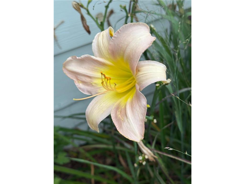 937 Laurel Avenue Saint Paul MN 55104 7014134 image58