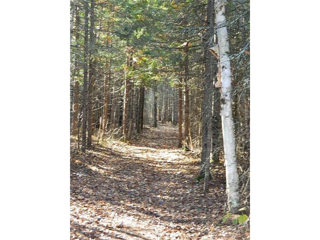 9372 County Road 32 W South Koochiching Unorg. Terr. MN 56654 6825021 image11