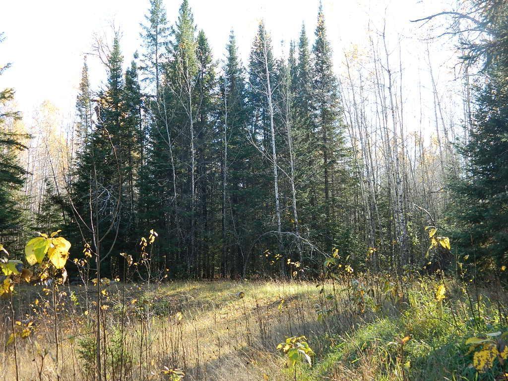 9372 County Road 32 W South Koochiching Unorg. Terr. MN 56654 6825021 image12