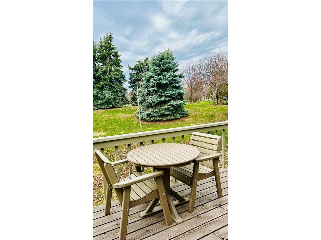938 Winterberry Drive Woodbury MN 55125 7033517 image28
