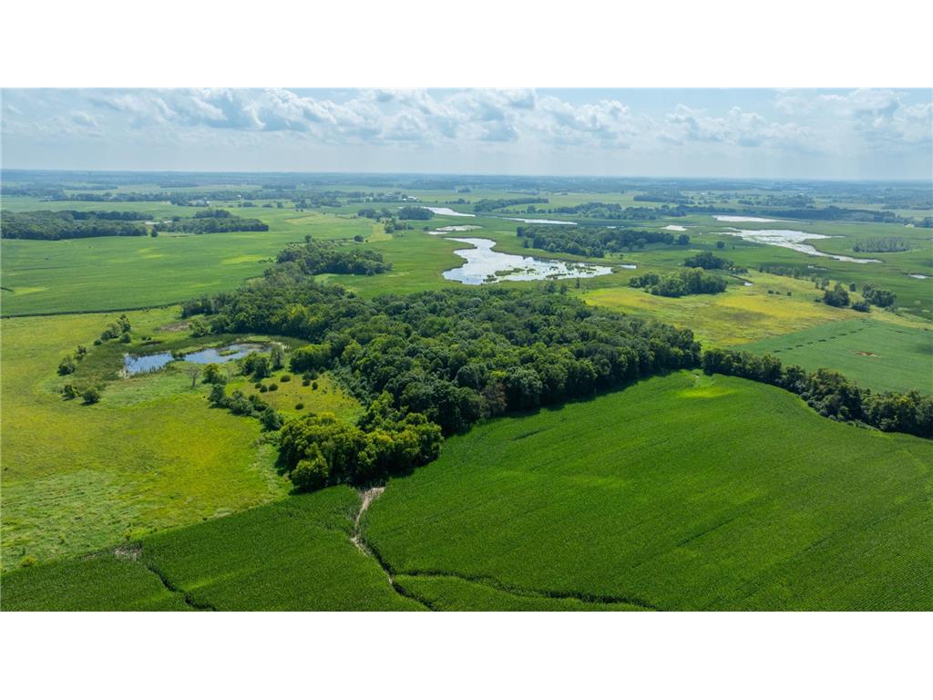 9380 County Road 51 Waconia Twp MN 55322 - Patterson 6769922 image1