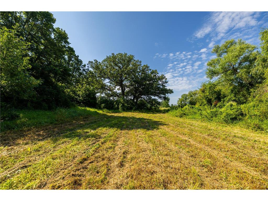 9380 County Road 51 Waconia Twp MN 55322 - Patterson 6769922 image10