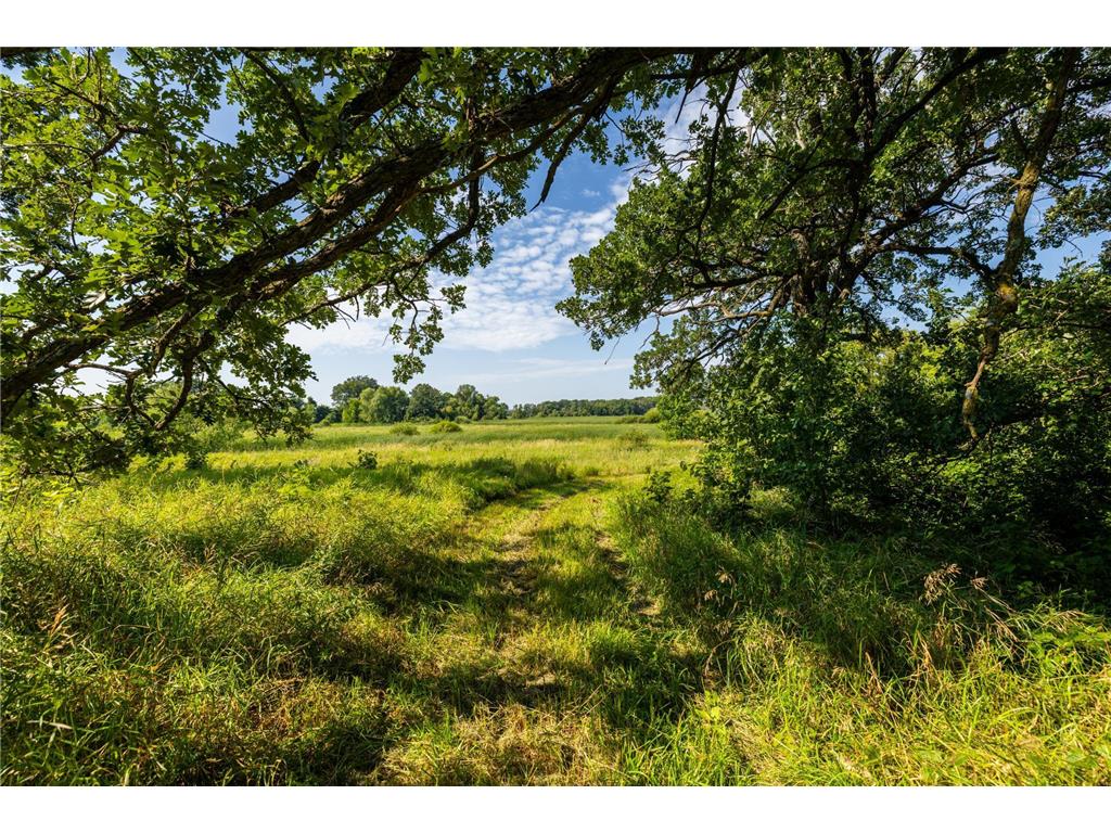 9380 County Road 51 Waconia Twp MN 55322 - Patterson 6769922 image12