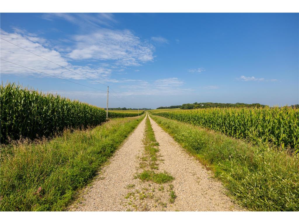 9380 County Road 51 Waconia Twp MN 55322 - Patterson 6769922 image19