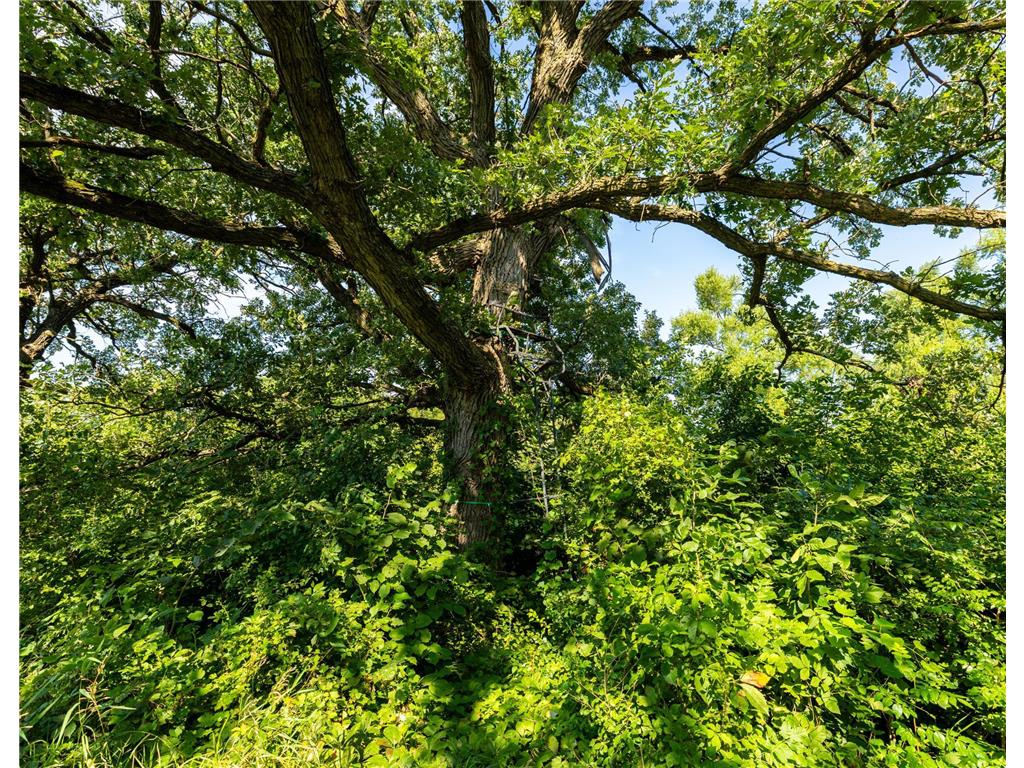 9380 County Road 51 Waconia Twp MN 55322 - Patterson 6769922 image26