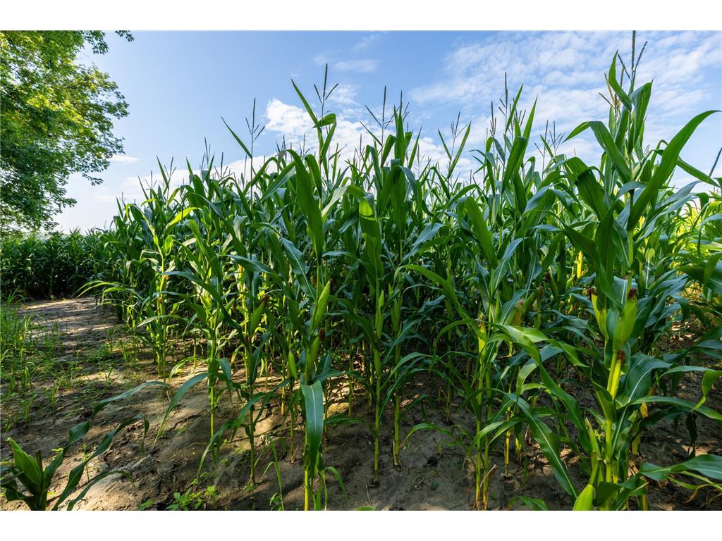 9380 County Road 51 Waconia Twp MN 55322 - Patterson 6769922 image27