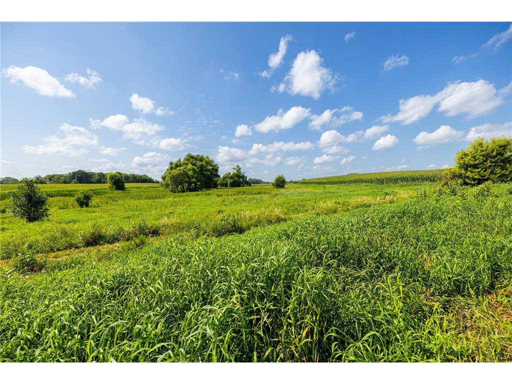 9380 County Road 51 Waconia Twp MN 55322 - Patterson 6769922 image32