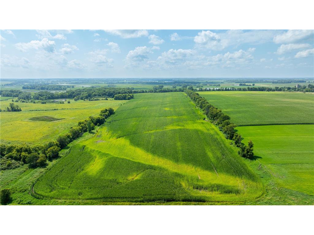 9380 County Road 51 Waconia Twp MN 55322 - Patterson 6769922 image35