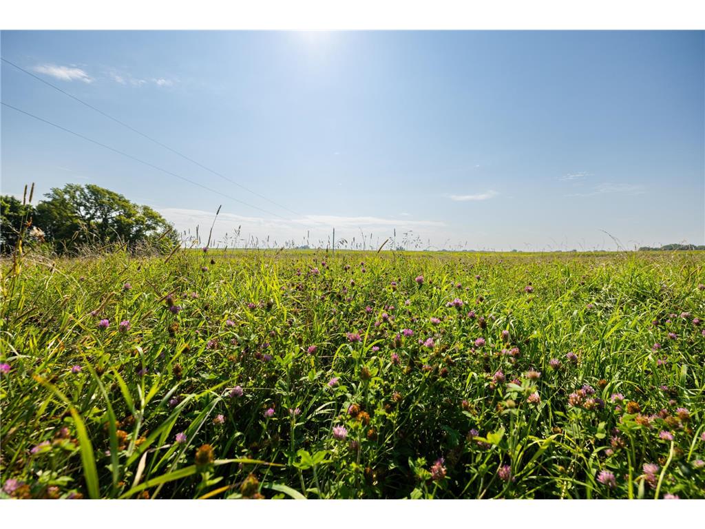 9380 County Road 51 Waconia Twp MN 55322 - Patterson 6769922 image4