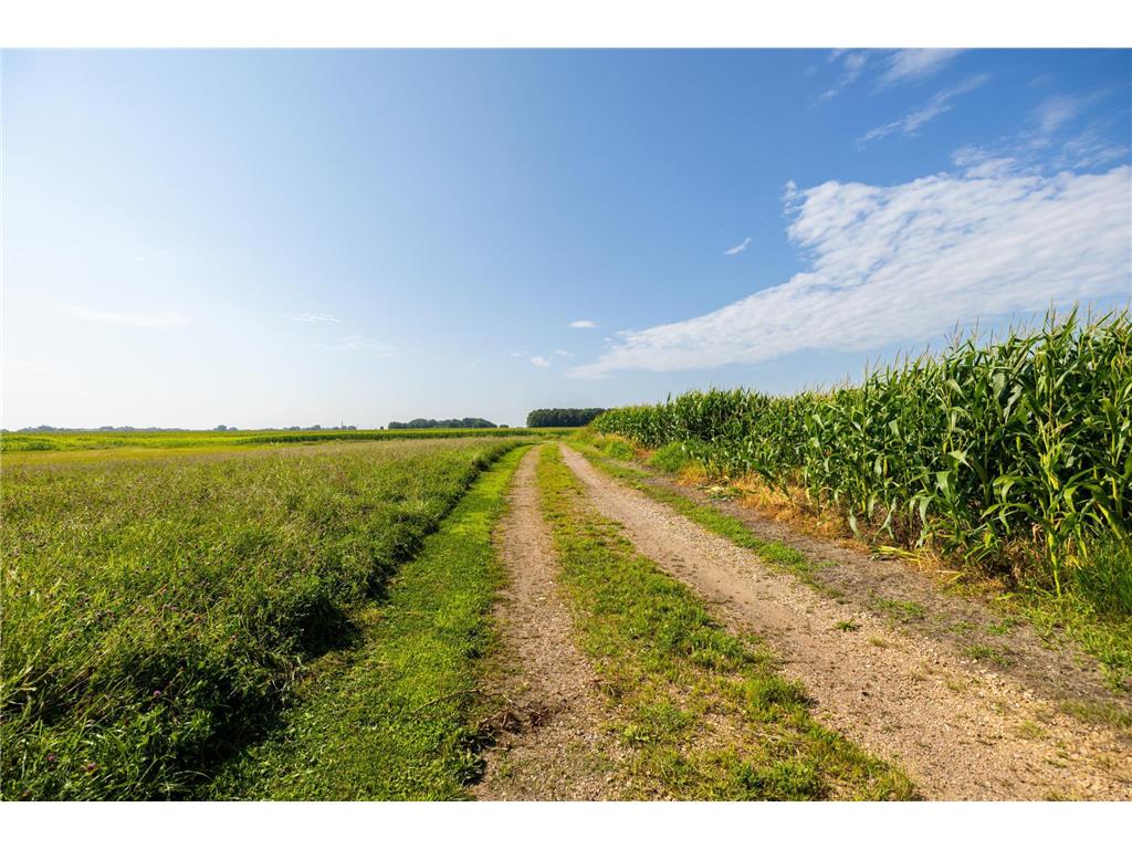 9380 County Road 51 Waconia Twp MN 55322 - Patterson 6769922 image50