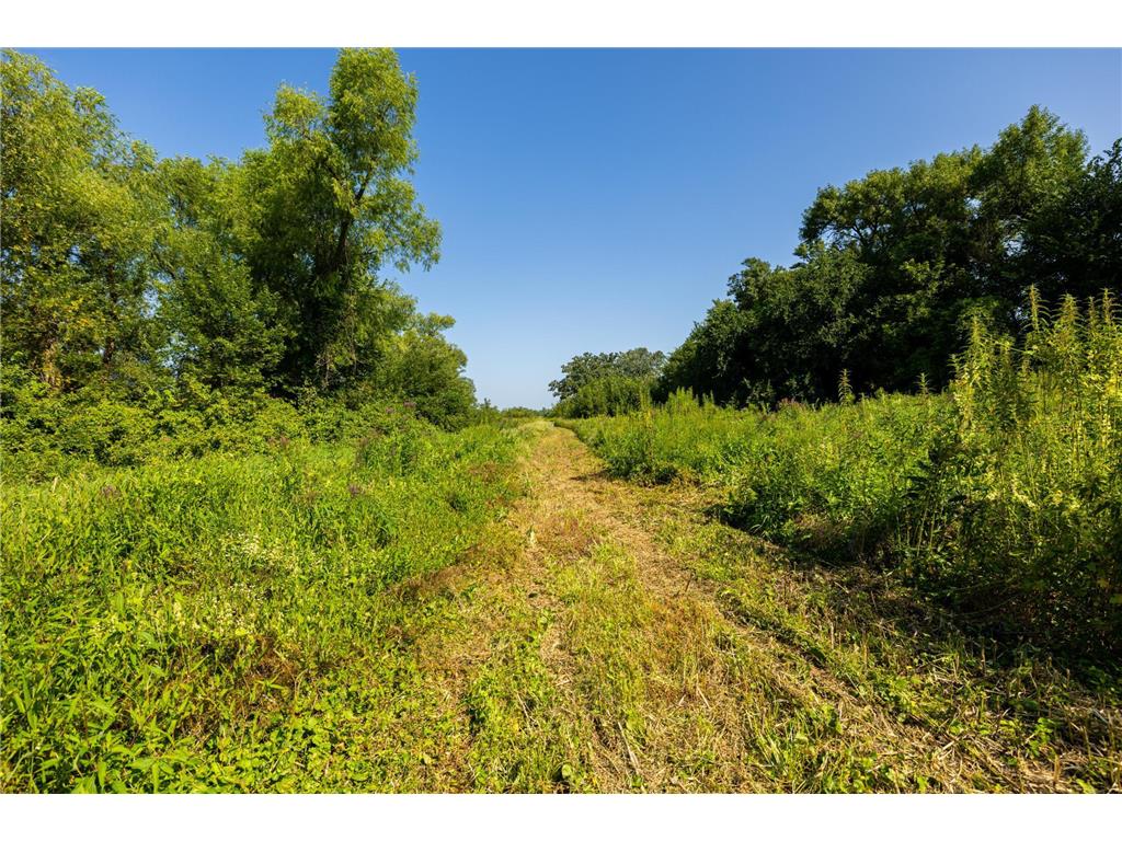 9380 County Road 51 Waconia Twp MN 55322 - Patterson 6769922 image64