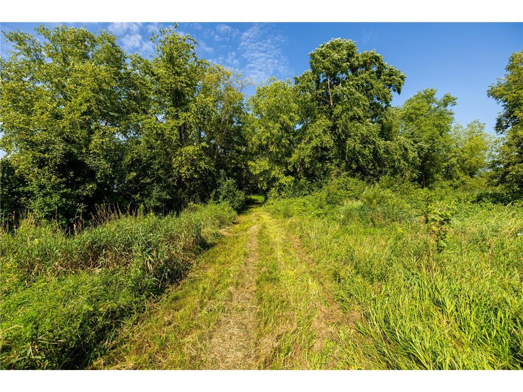 9380 County Road 51 Waconia Twp MN 55322 - Patterson 6769922 image65