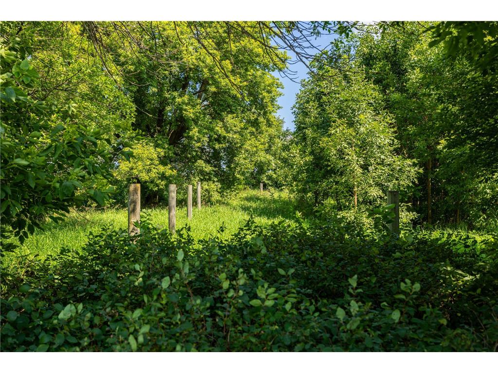 9380 County Road 51 Waconia Twp MN 55322 - Patterson 6769922 image8