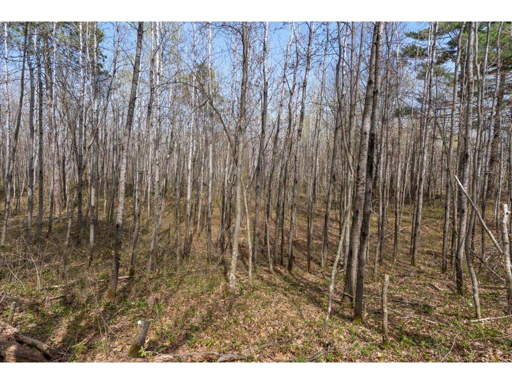 9382 County Road 8 Garrison Twp MN 56401 7072134 image100