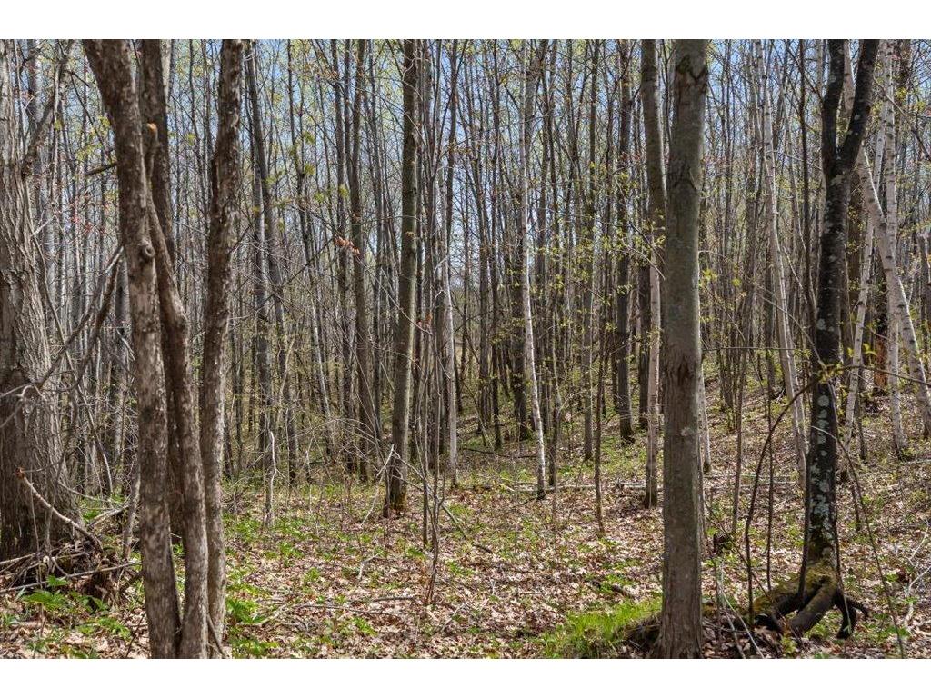 9382 County Road 8 Garrison Twp MN 56401 7072134 image101