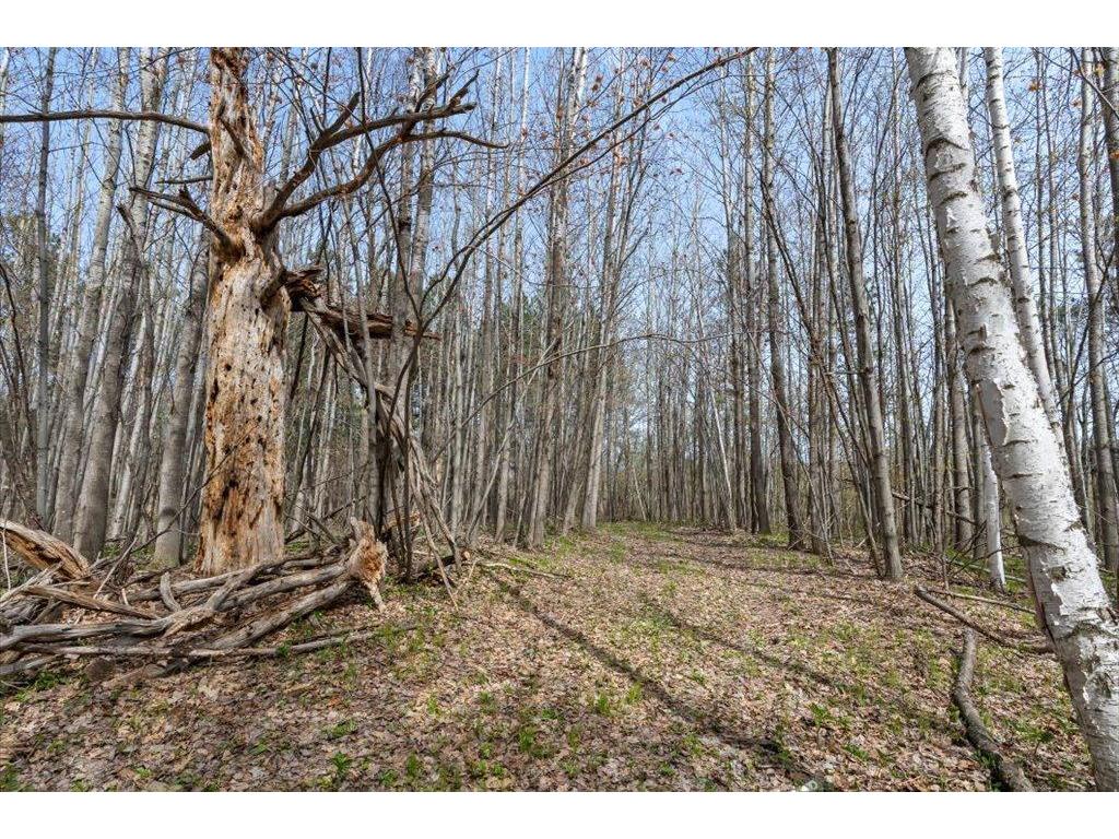 9382 County Road 8 Garrison Twp MN 56401 7072134 image108
