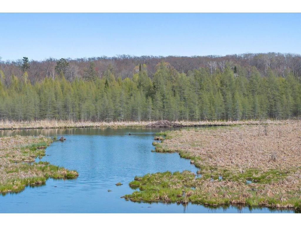 9382 County Road 8 Garrison Twp MN 56401 7072134 image16