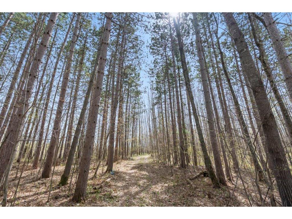 9382 County Road 8 Garrison Twp MN 56401 7072134 image2