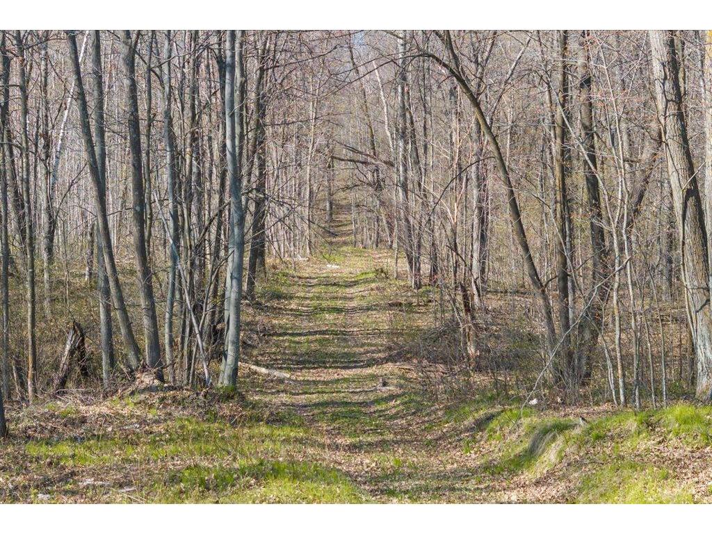 9382 County Road 8 Garrison Twp MN 56401 7072134 image39