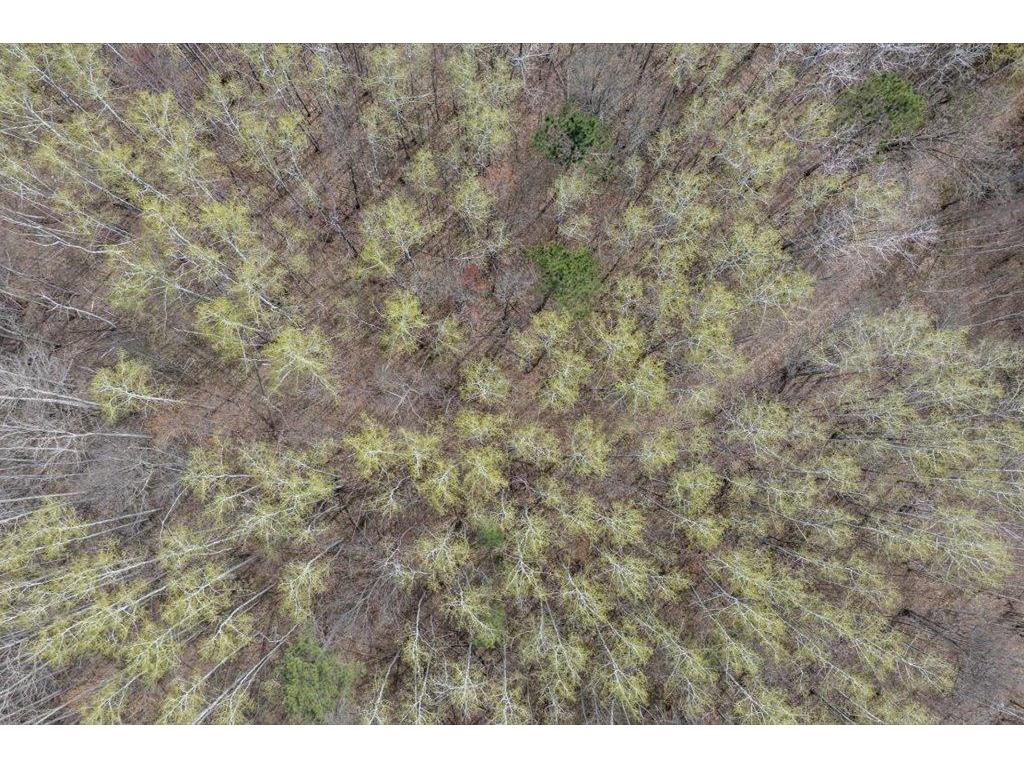 9382 County Road 8 Garrison Twp MN 56401 7072134 image60