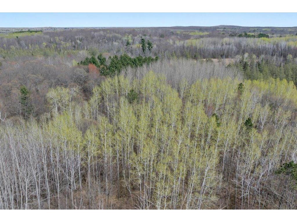 9382 County Road 8 Garrison Twp MN 56401 7072134 image61
