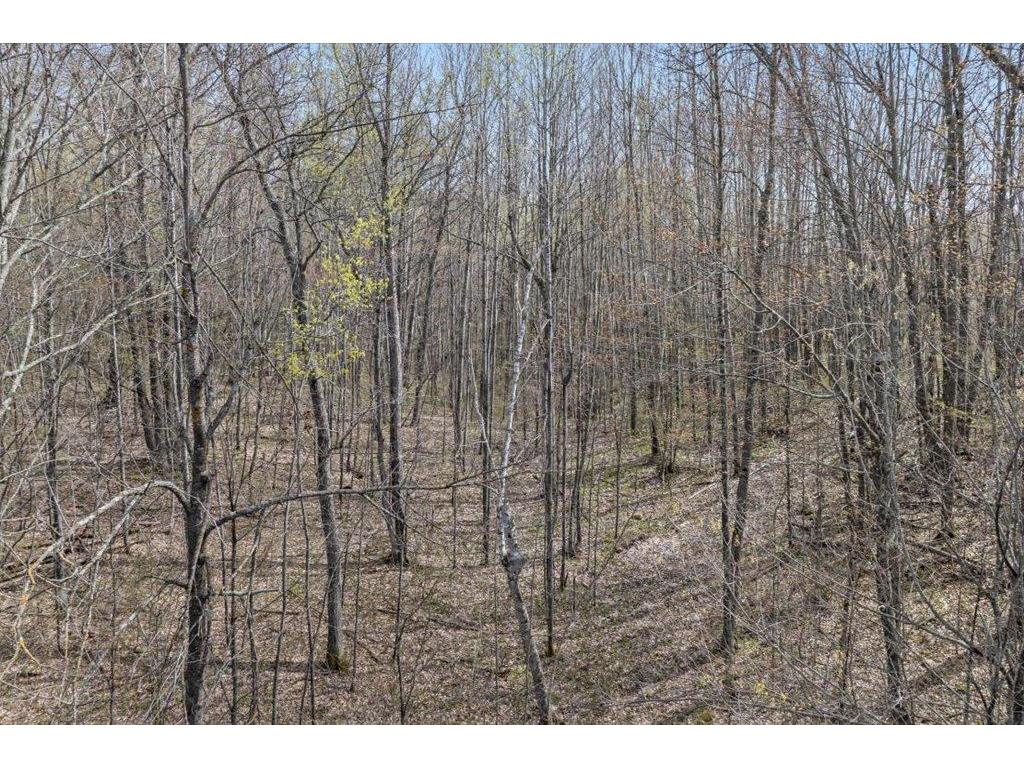 9382 County Road 8 Garrison Twp MN 56401 7072134 image62