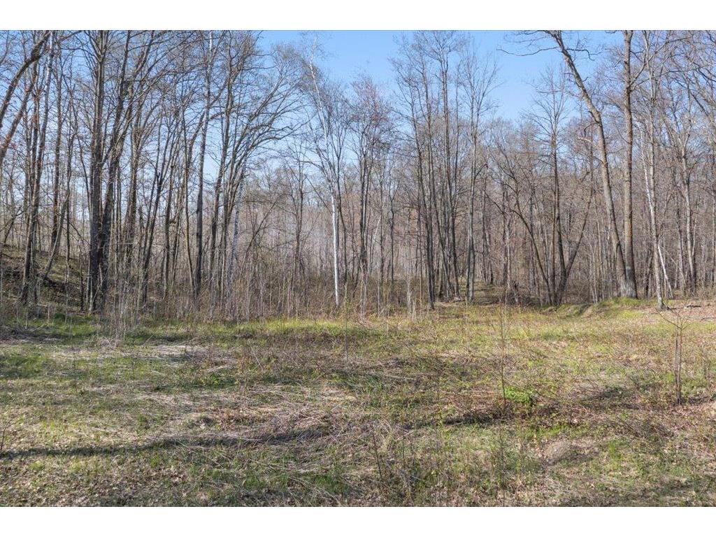 9382 County Road 8 Garrison Twp MN 56401 7072134 image71
