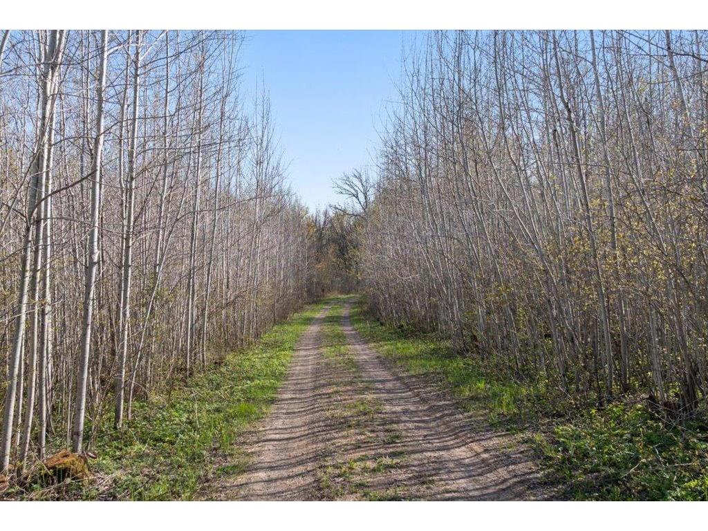 9382 County Road 8 Garrison Twp MN 56401 7072134 image73