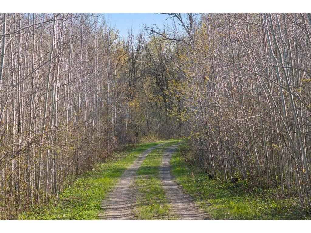9382 County Road 8 Garrison Twp MN 56401 7072134 image74