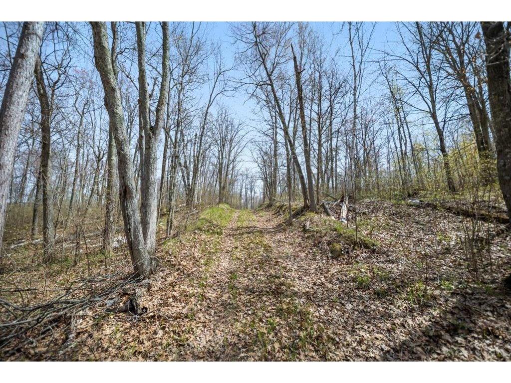 9382 County Road 8 Garrison Twp MN 56401 7072134 image80