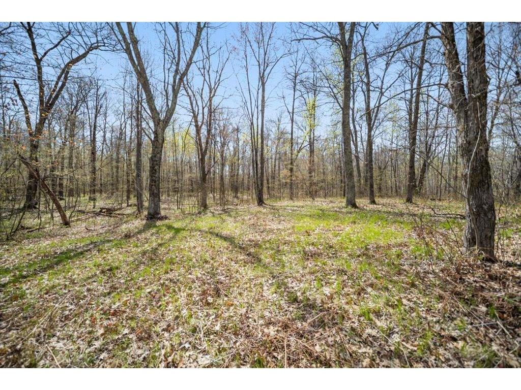 9382 County Road 8 Garrison Twp MN 56401 7072134 image81