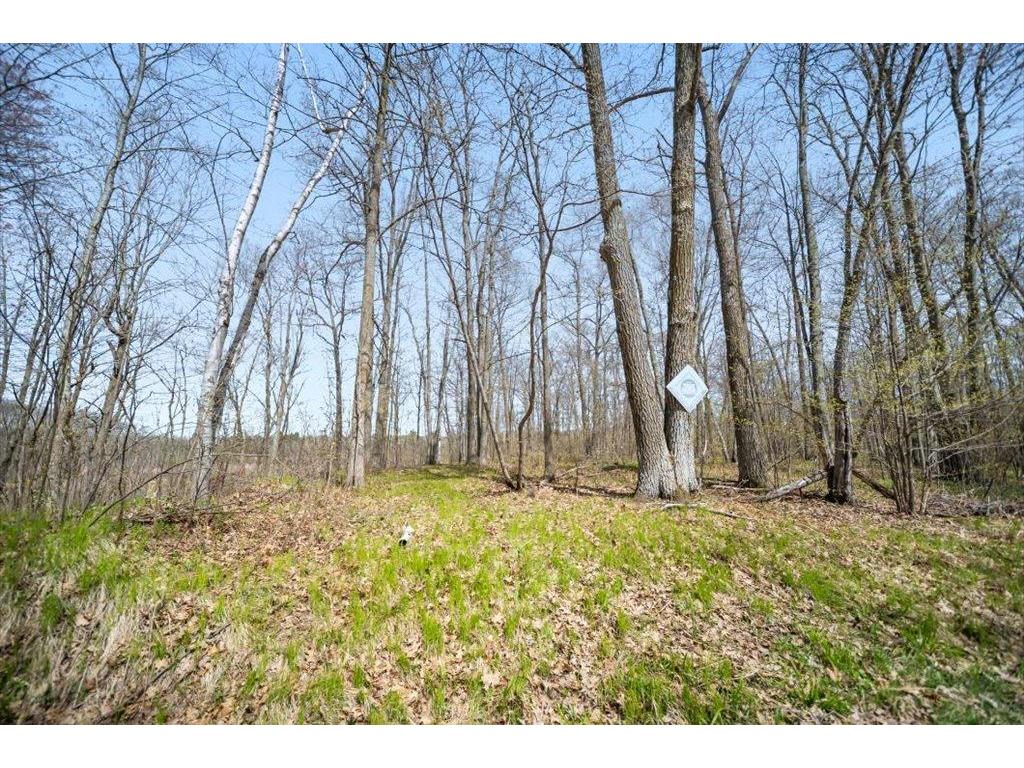 9382 County Road 8 Garrison Twp MN 56401 7072134 image82